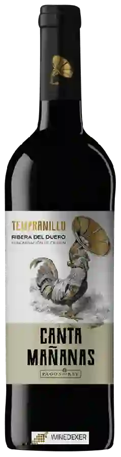 Winery Pagos del Rey - Canta Ma&ntildeanas Tempranillo