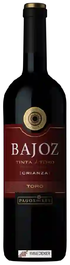 Winery Pagos del Rey - Crianza Toro