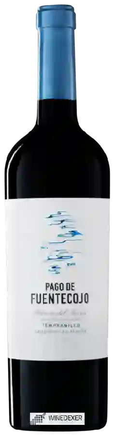 Winery Pagos del Rey - Pago de Fuentecojo Tempranillo Winery Pagos del Rey - Pago de Fuentecojo Tempranillo