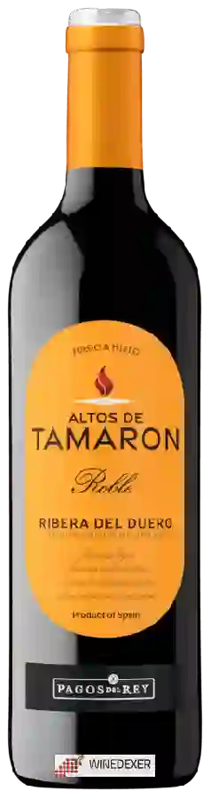 Winery Pagos del Rey - Roble Ribera del Duero