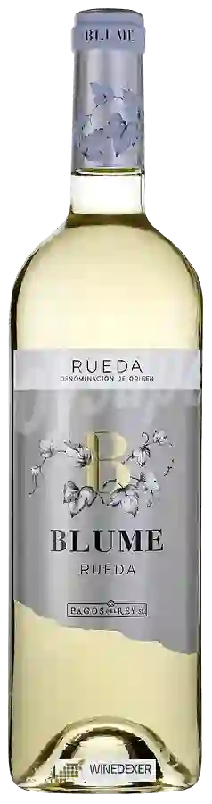 Winery Pagos del Rey - Rueda Blanco Winery Pagos del Rey - Rueda Blanco