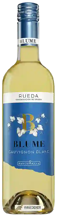 Winery Pagos del Rey - Sauvignon Blanc Rueda