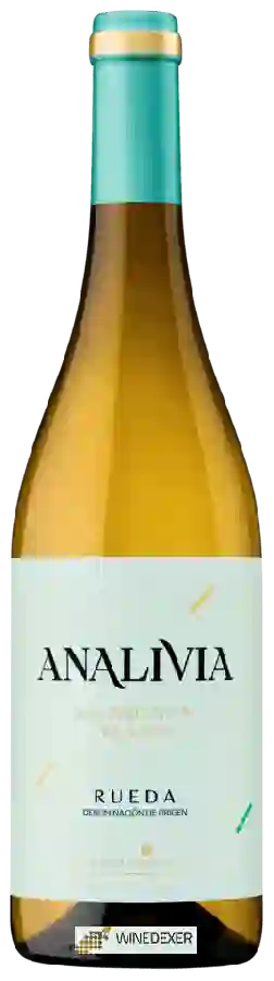 Winery Pagos del Rey - Sauvignon Blanc