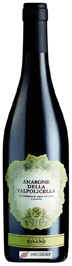 Winery Pagus Bisano - Amarone della Valpolicella Winery Pagus Bisano - Amarone della Valpolicella