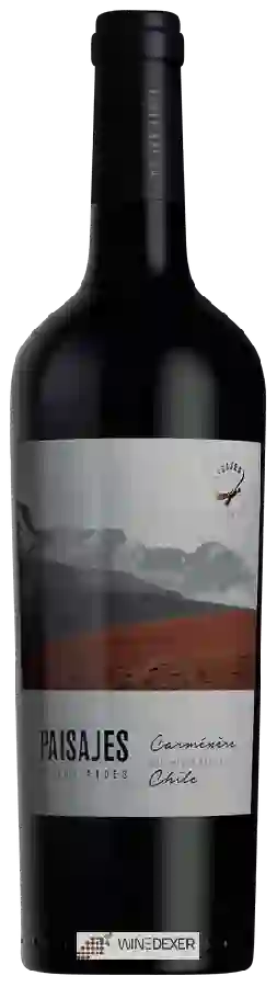 Winery Paisajes de Los Andes - Carménère Winery Paisajes de Los Andes - Carménère