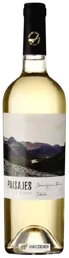 Winery Paisajes de Los Andes - Sauvignon Blanc Winery Paisajes de Los Andes - Sauvignon Blanc