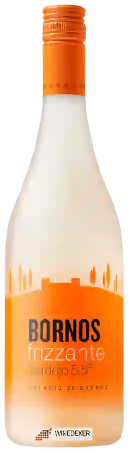 Winery Palacio de Bornos - Verdejo 5,5° Frizzante