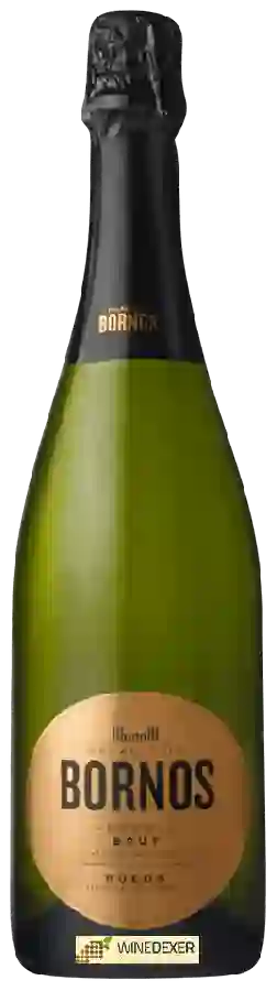 Winery Palacio de Bornos - Verdejo Brut Winery Palacio de Bornos - Verdejo Brut