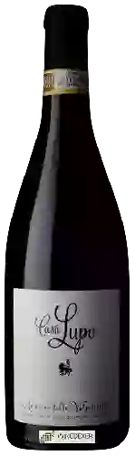 Winery Paladin - Casa Lupo Amarone della Valpolicella