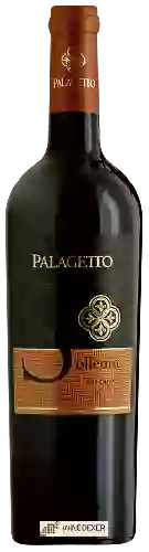 Winery Palagetto - Solleone Toscana