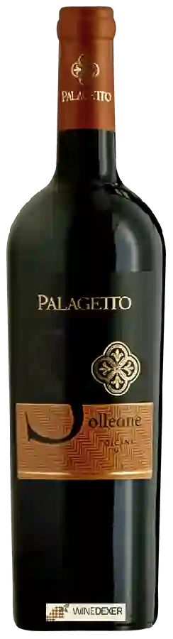 Winery Palagetto - Solleone Toscana