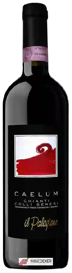 Winery Il Palagione - Caelum Chianti Colli Senesi