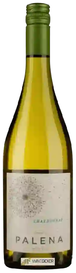 Winery Palena - Chardonnay