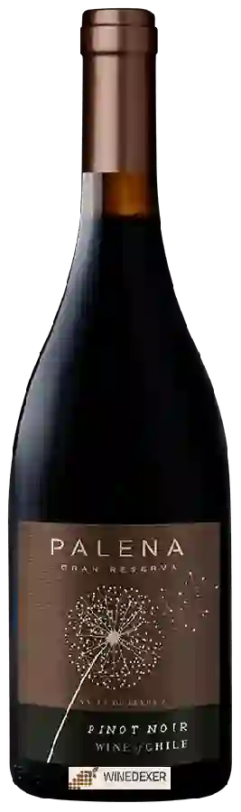 Winery Palena - Gran Reserva Pinot Noir Winery Palena - Gran Reserva Pinot Noir