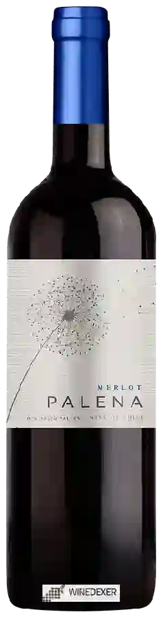 Winery Palena - Merlot Winery Palena - Merlot