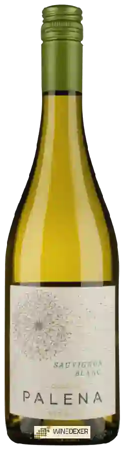 Winery Palena - Sauvignon Blanc Winery Palena - Sauvignon Blanc