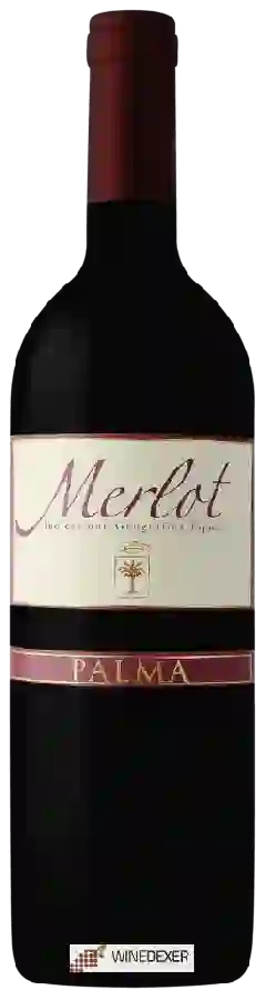 Winery Palma - Merlot Winery Palma - Merlot