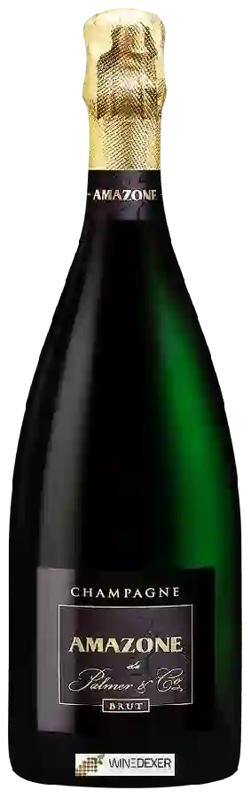 Winery Palmer & Co. - Amazone Brut Champagne Winery Palmer & Co. - Amazone Brut Champagne