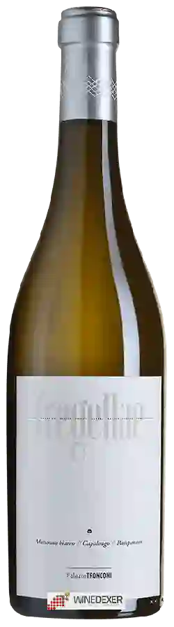 Winery Palazzo Tronconi - Fregellae Winery Palazzo Tronconi - Fregellae