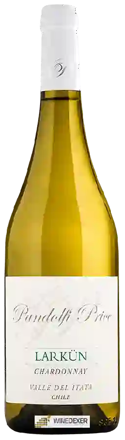 Winery Pandolfi Price - Larkün Chardonnay