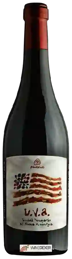 Winery Panevino - U.V.A United Vineyards of Ampia Kussorgia