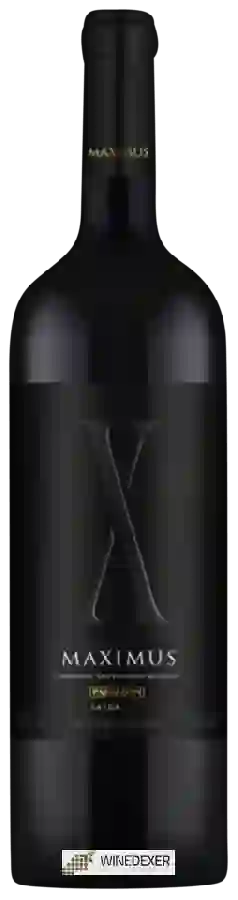 Winery Panizzon - Maximus Winery Panizzon - Maximus