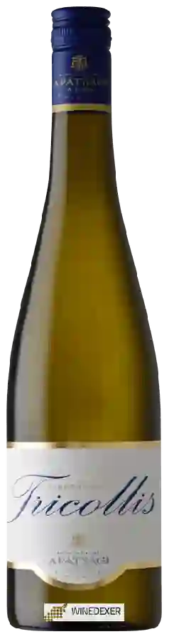 Winery Pannonhalmi Apátsági - Tricollis White Winery Pannonhalmi Apátsági - Tricollis White