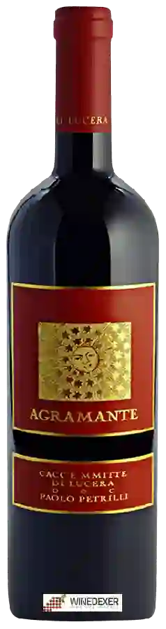 Winery Paolo Petrilli - Agramante
