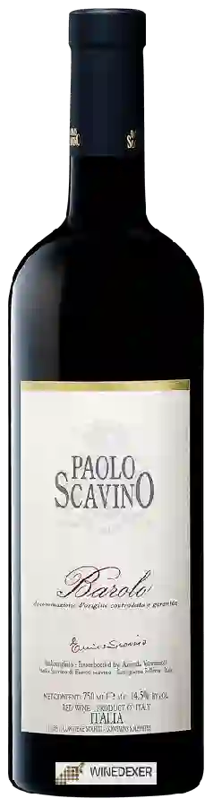Winery Paolo Scavino - Barolo