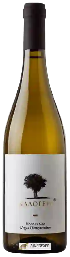 Winery Papagiannakos - Kalogeri Malagouzia