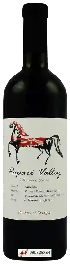 Winery Papari Valley - 3 Qvevri Terraces Saperavi Winery Papari Valley - 3 Qvevri Terraces Saperavi