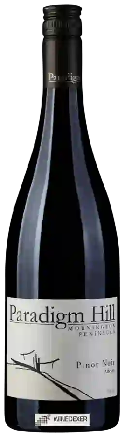 Winery Paradigm Hill - Adesso Pinot Noir Winery Paradigm Hill - Adesso Pinot Noir