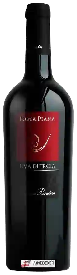 Winery Cantine Paradiso - Posta Piana Uva di Troia