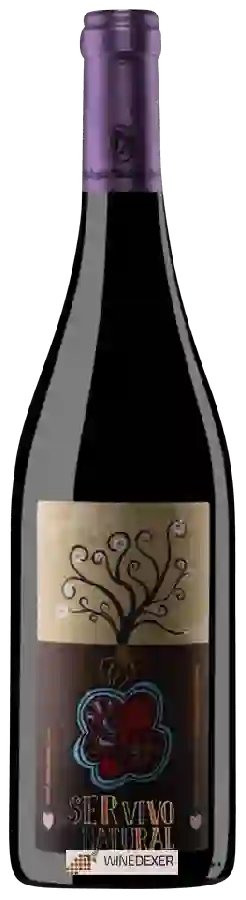 Winery Paramo Arroyo - Ser Vivo Y Natural