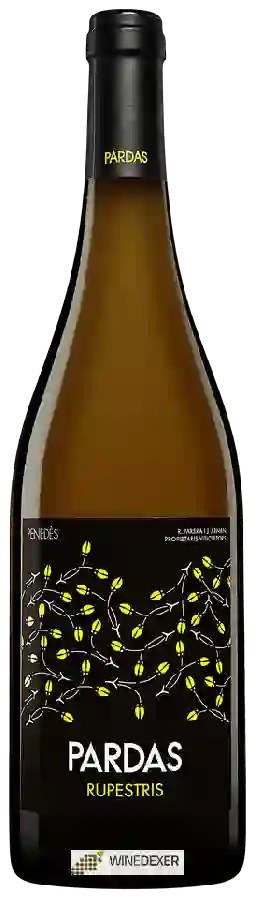 Winery Pardas - Rupestris