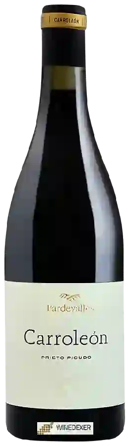 Winery Pardevalles - Carroleón Tinto