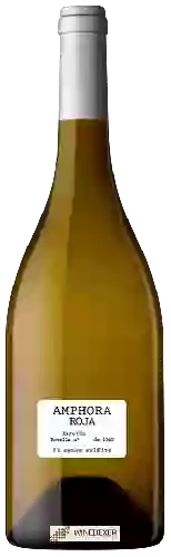 Winery Parés Baltà - Xarel-lo Amphora Roja