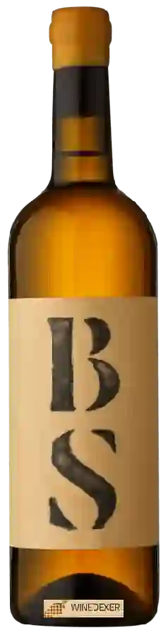 Winery Partida Creus - BS (Blanc de Sumoll)