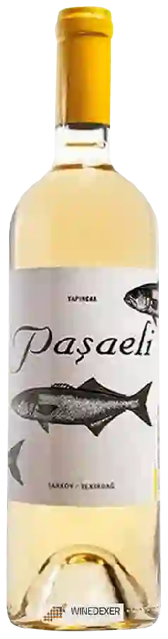 Winery Paşaeli - Yapıncak Winery Paşaeli - Yapıncak