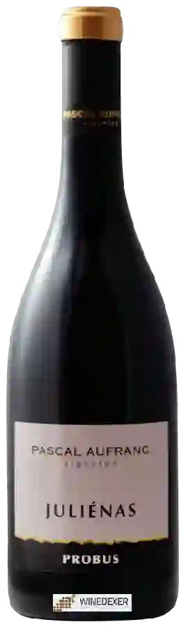 Winery Pascal Aufranc - Probus Juliénas