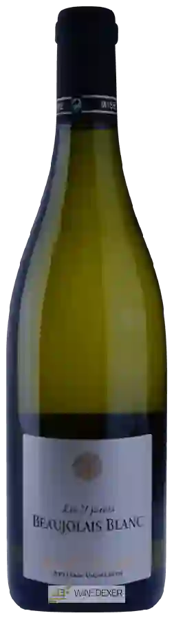 Winery Pascal Berthier - Les 17 Pièces Beaujolais Blanc Winery Pascal Berthier - Les 17 Pièces Beaujolais Blanc