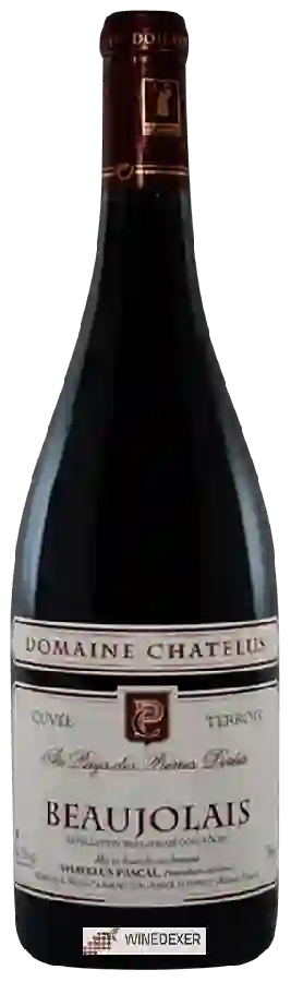 Winery Pascal Chatelus - Domaine Chatelus Cuvée Terroir Beaujolais Winery Pascal Chatelus - Domaine Chatelus Cuvée Terroir Beaujolais