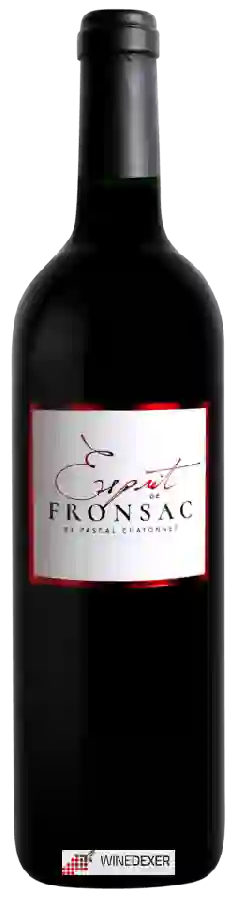 Winery Pascal Chatonnet - Esprit de Fronsac