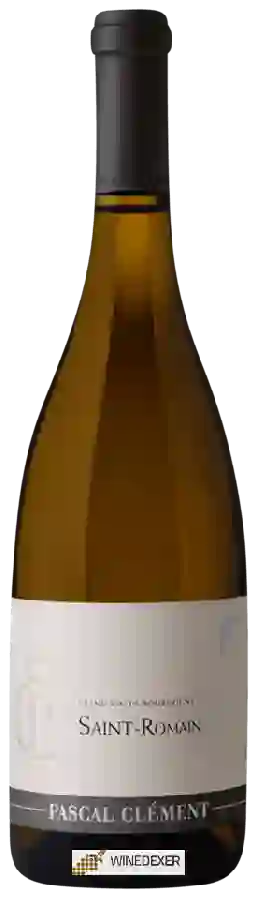 Winery Pascal Clément - Saint-Romain