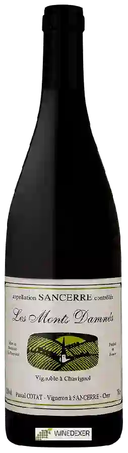 Winery Pascal Cotat - Les Monts Damnés Sancerre Winery Pascal Cotat - Les Monts Damnés Sancerre