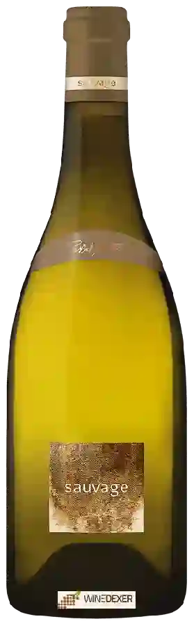 Winery Pascal Jolivet - Sancerre Sauvage Blanc