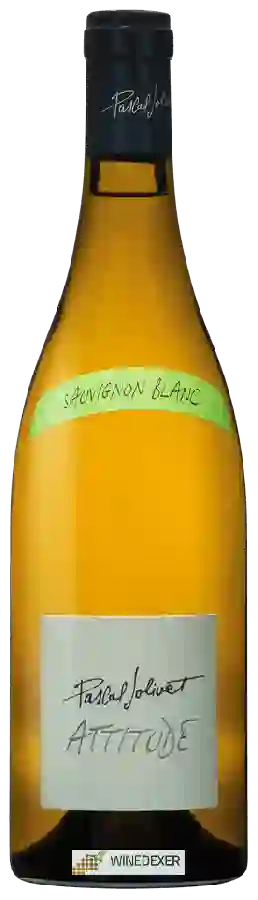 Winery Pascal Jolivet - Sauvignon Blanc Attitude Winery Pascal Jolivet - Sauvignon Blanc Attitude