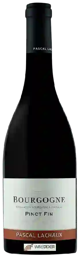 Winery Pascal Lachaux - Bourgogne Pinot Fin