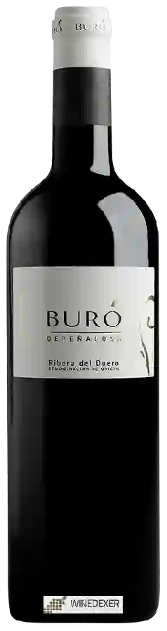 Bodegas Pascual - Buró de Peñalosa Crianza