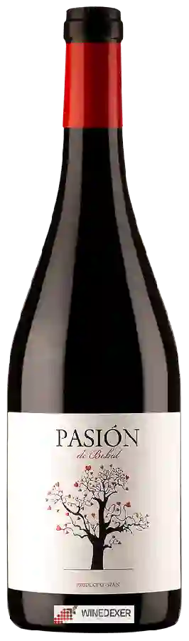 Winery Pasión - Bobal Winery Pasión - Bobal